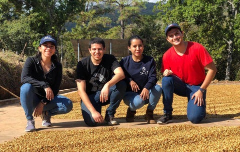 Where sourcing meets the art of coffee and innovation