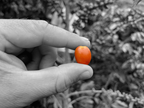 Brew it like DuckRabbit