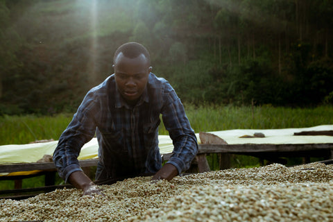 Source smart with Sucafina Specialty