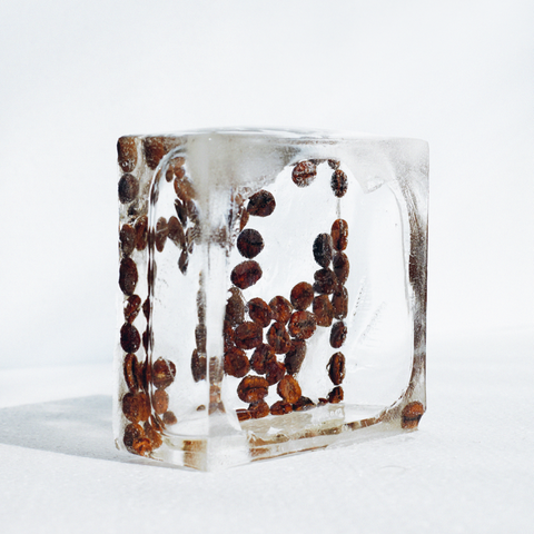 I Know What You Froze Last Summer