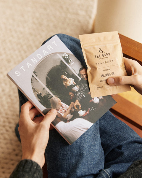 Try Standart Subscription