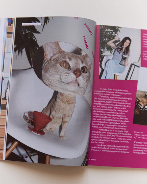 Standart Subscription