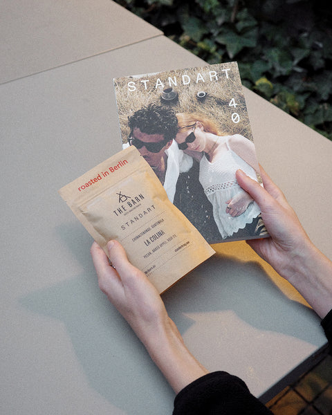 Try Standart Subscription