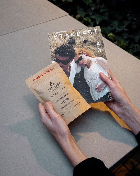 Try Standart Subscription