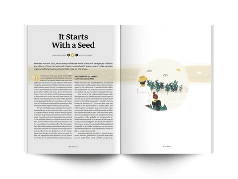 Issue 12: Violence, Mythology and Hawaii - Standart Magazine