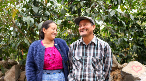 20 years of sourcing coffee from the best small-holder farmers across Latin America - Standart