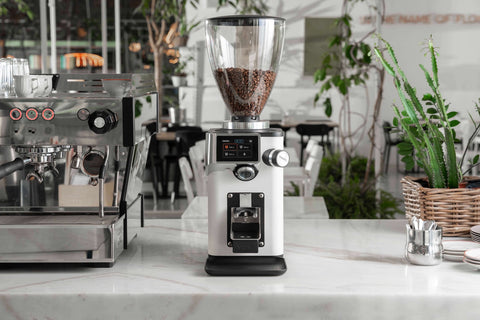 Grinding for Taste: How Next-Gen Design Shapes Coffee Flavour
