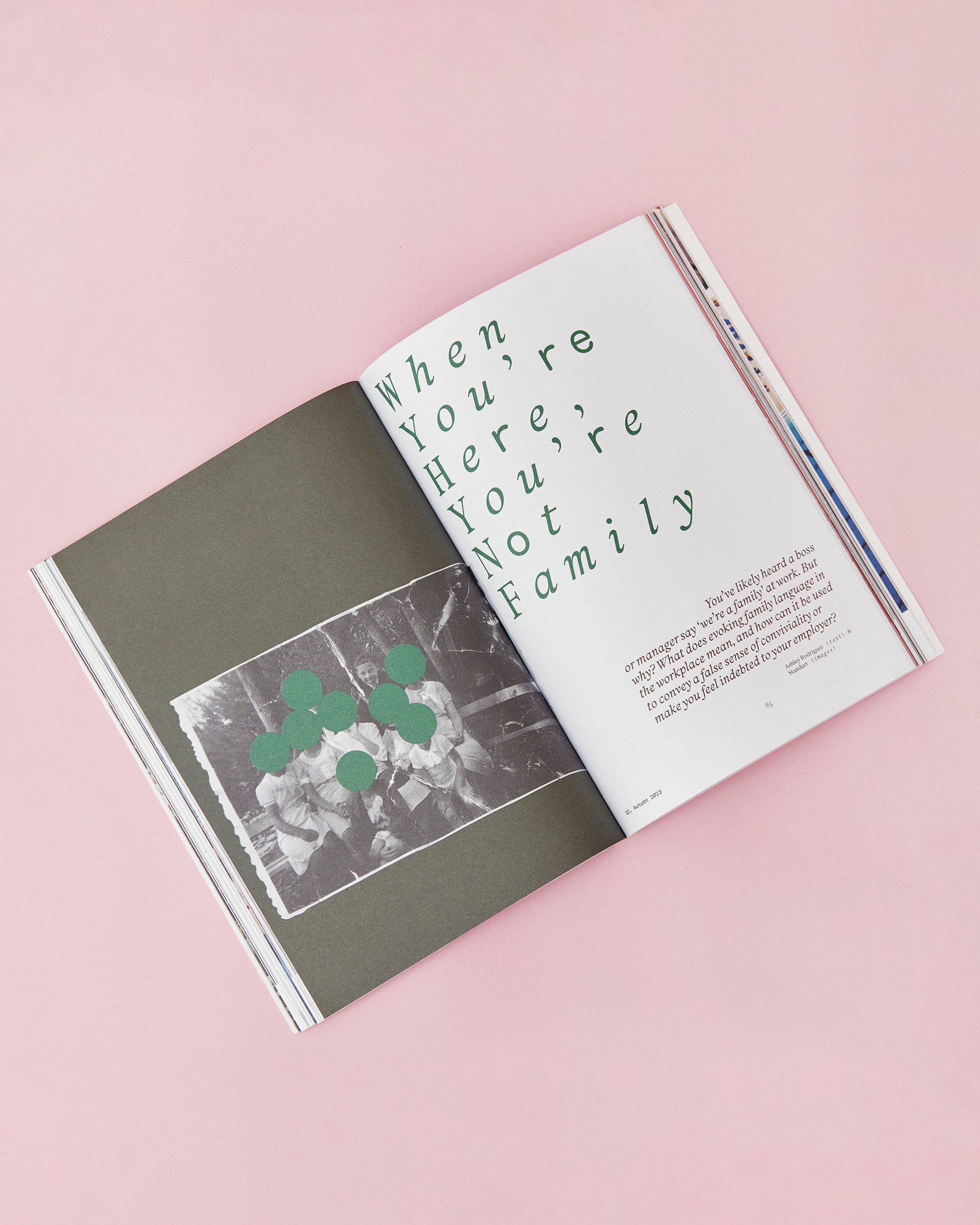 Issue 32: Plants, parents, and coffee – Standart