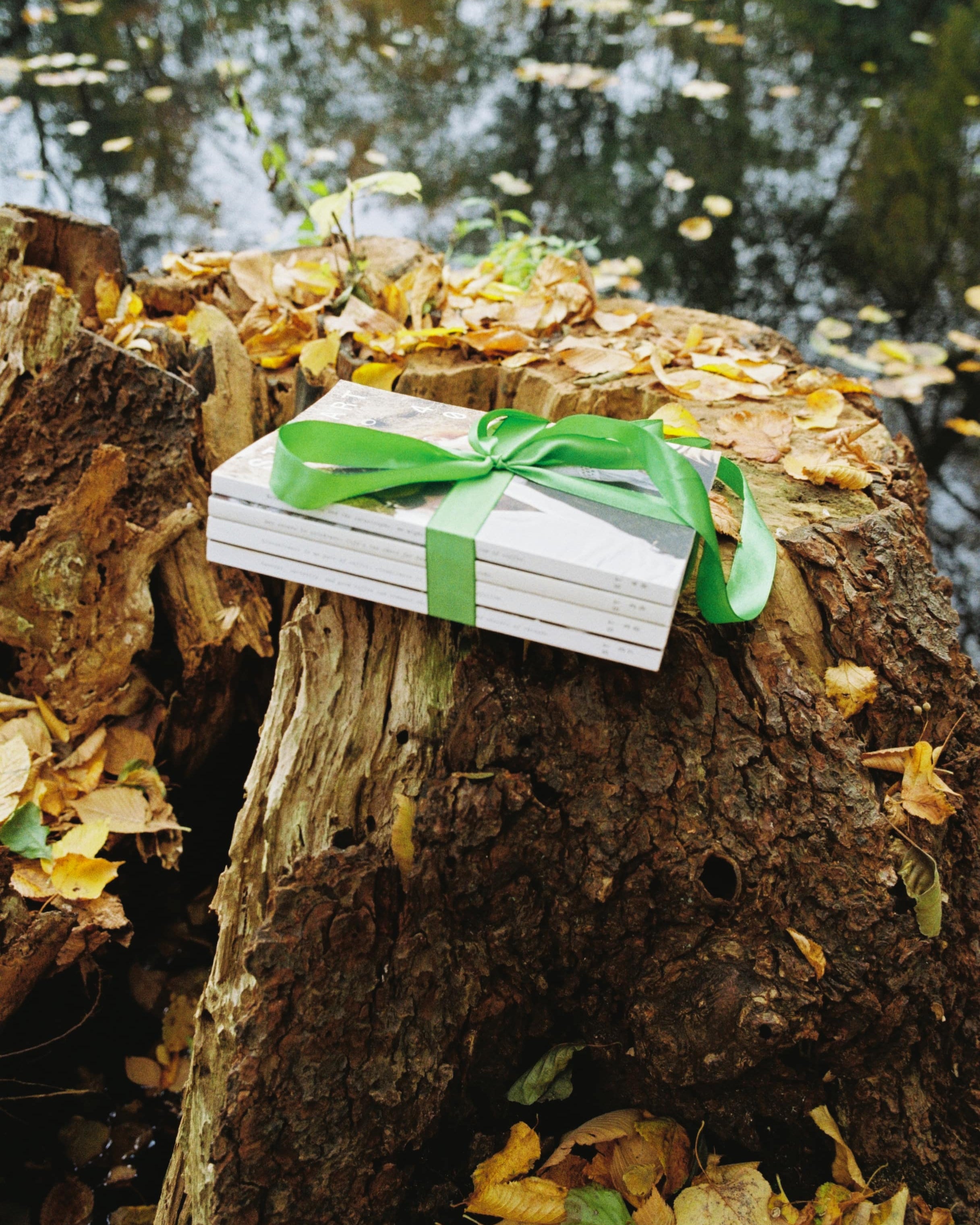 Standart Gift Card