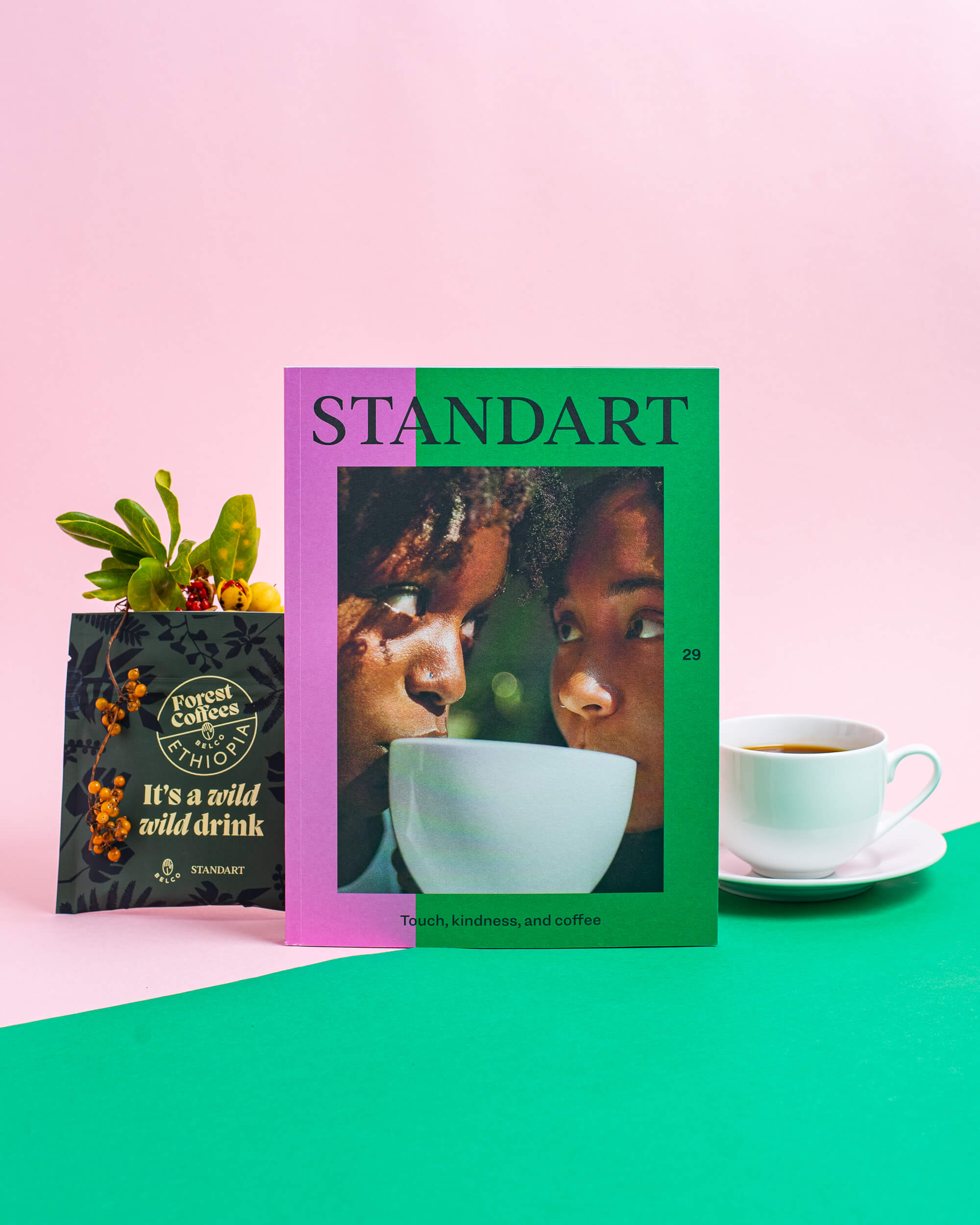 Subscription – Standart