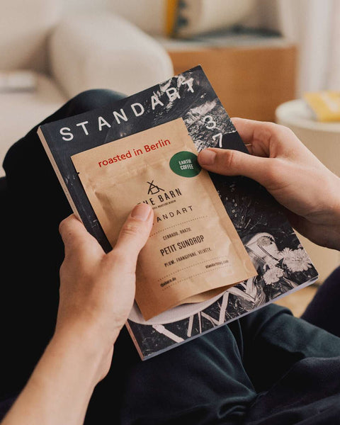 Try Standart Subscription
