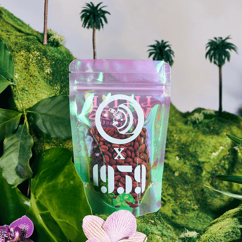 Rio Dulce Gesha by Little Waves Coffee (🎁 50g)