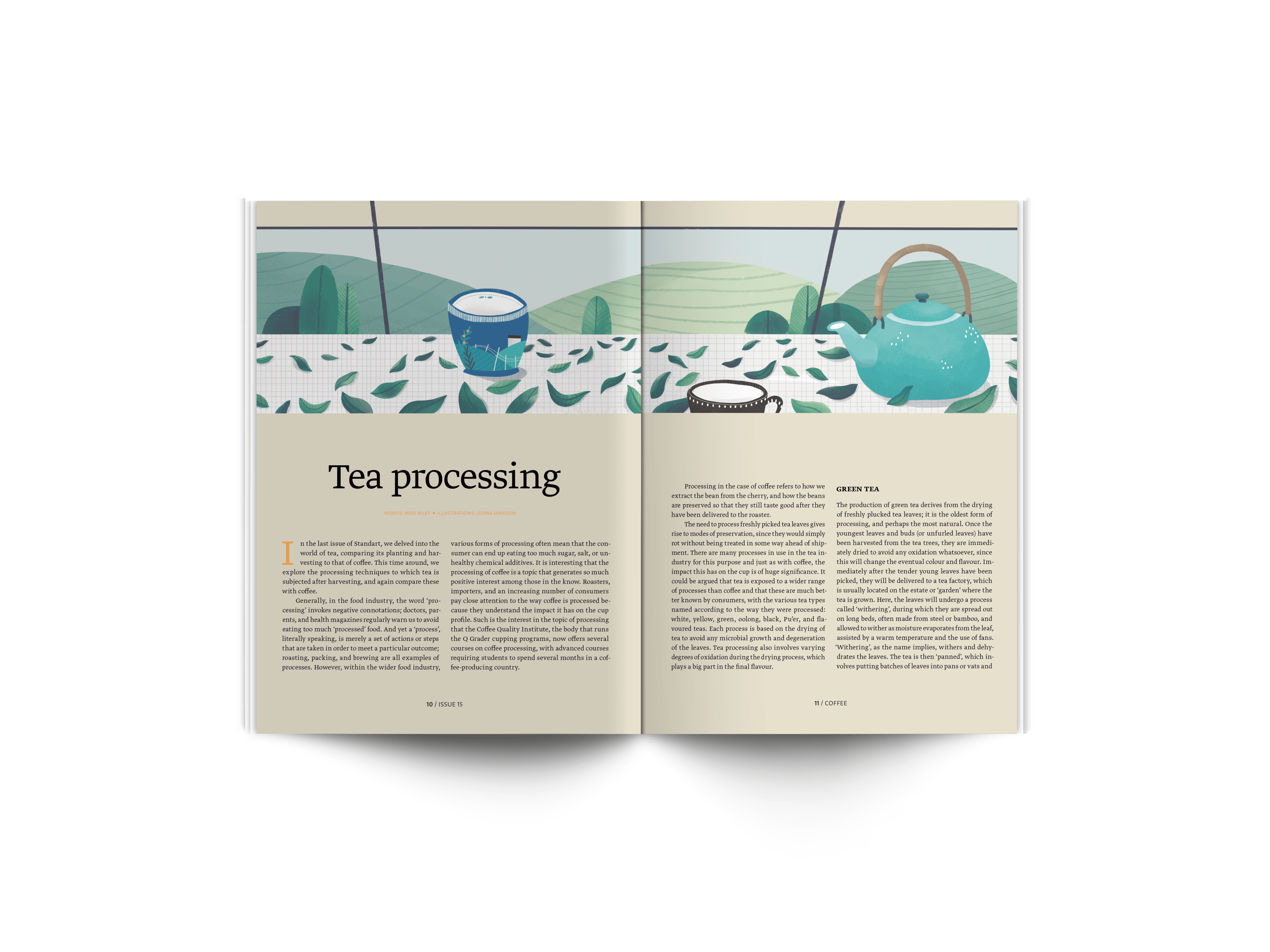 Article in Standart magazine about Tea processing with words by Mike Riley and illustrations by Lorna Jameson
